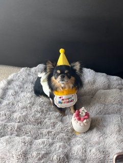 HAPPY 5TH BIRTHDAYA