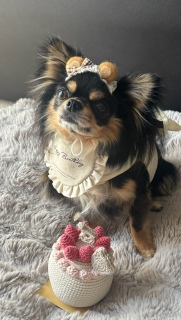 HAPPY 5TH BIRTHDAYB
